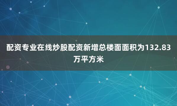 配资专业在线炒股配资新增总楼面面积为132.83万平方米